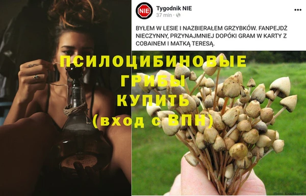 spice Абаза